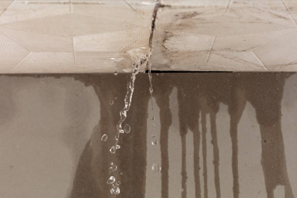 Professional Commercial Water Damage Restoration technician working in Camden, MI
